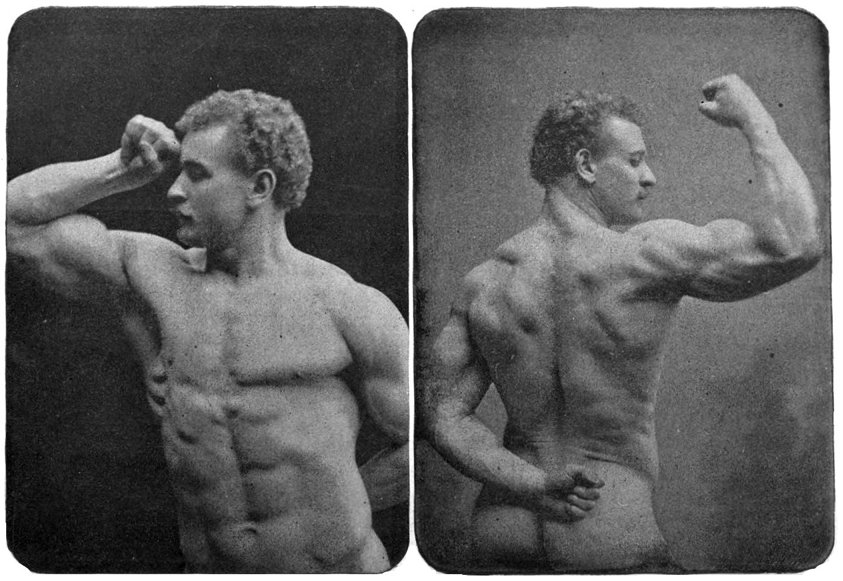 Sandow the Magnificent: Eugen Sandow and the Beginnings of Bodybuilding  (Sport and Society)