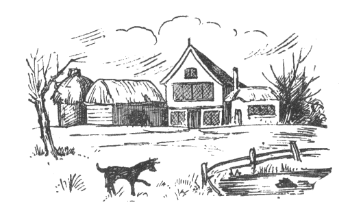 picture of the farm