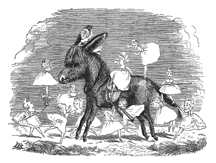 burro with fairies