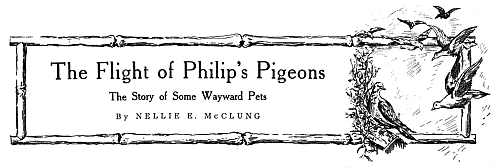 December, 1911
The Flight of Philip’s Pigeons
The Story of Some Wayward Pets
By NELLIE E. McCLUNG