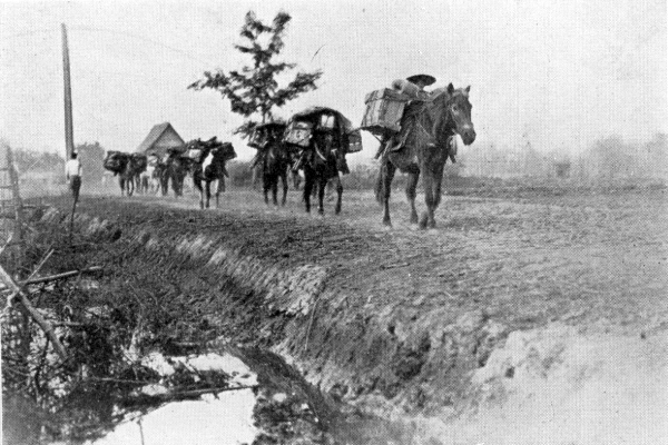 Loaded packhorses on a trail beside a ditch