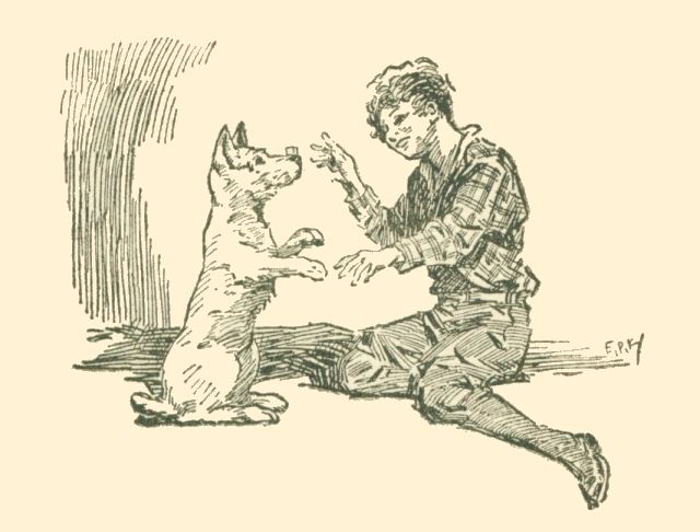 boy playing with the dog