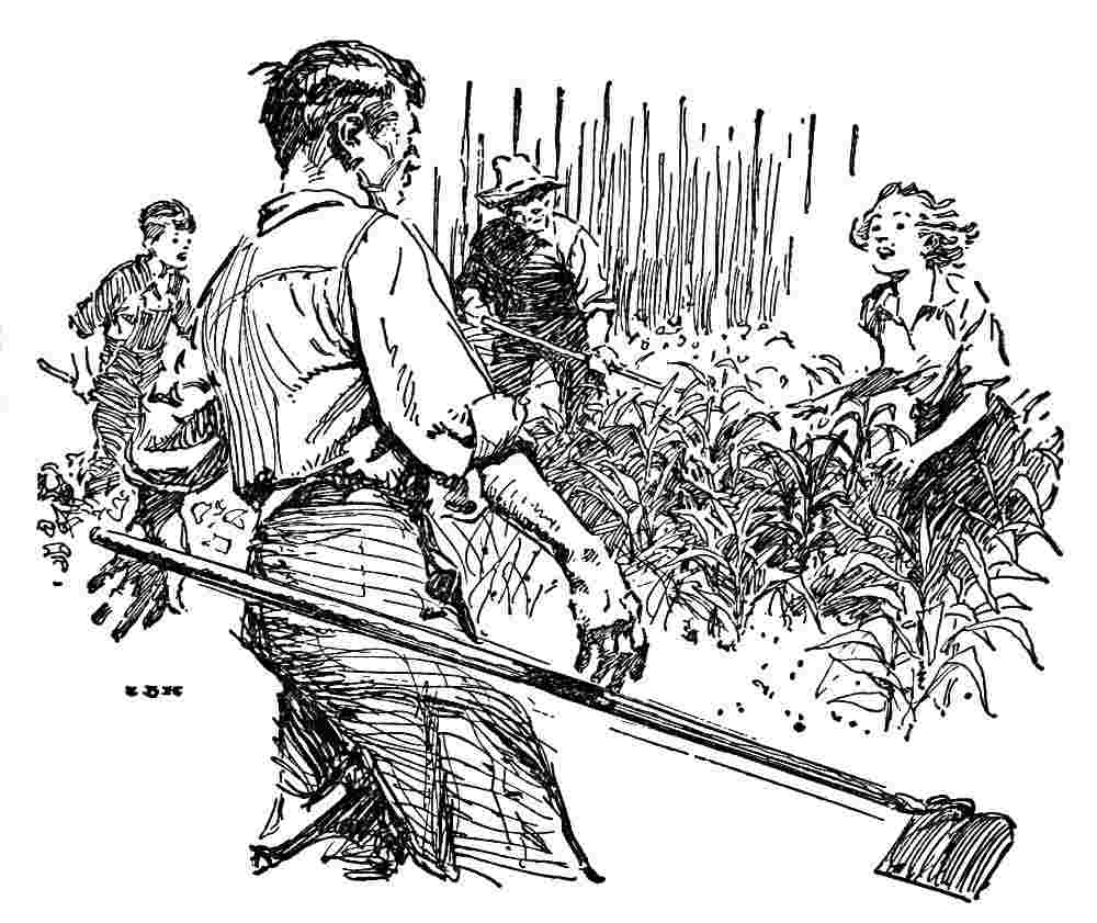 Farmers cultivate a crop