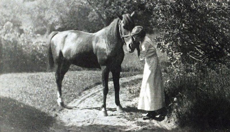 woman with a horse