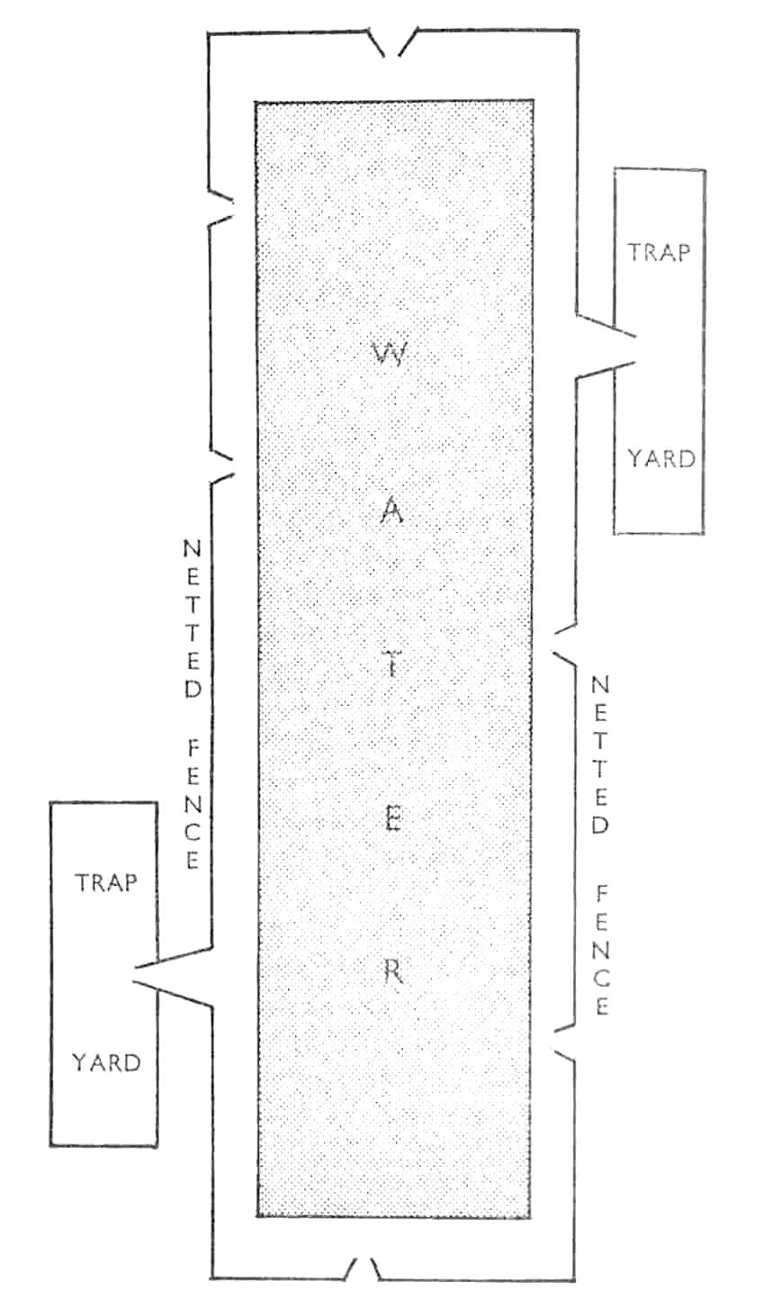 Plan of Barbys netted fence and traps enclosing the Channel