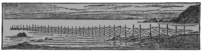 sea coast scene with a fence running into the water