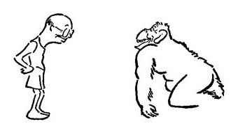 A middle-aged man in his underclothes converses with a gorilla.